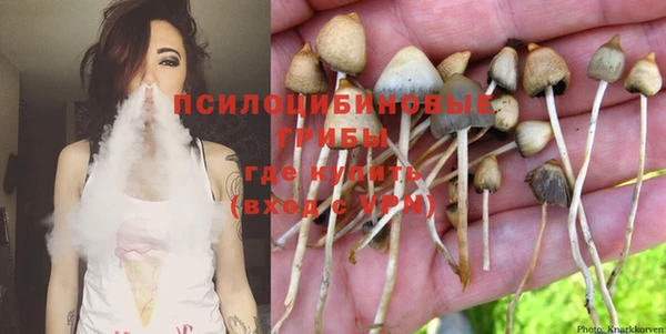 герыч Абаза