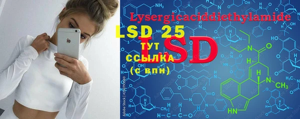 индика Пересвет