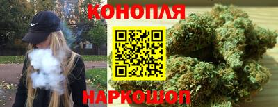 прущие грибы Рязань